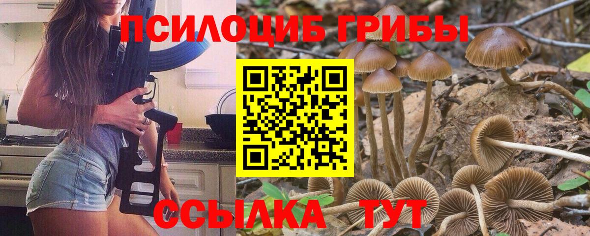 Бирск  Псилоцибиновые грибы MAGIC MUSHROOMS  Вход с VPN  Псилоцибиновые грибы Magic Shrooms 